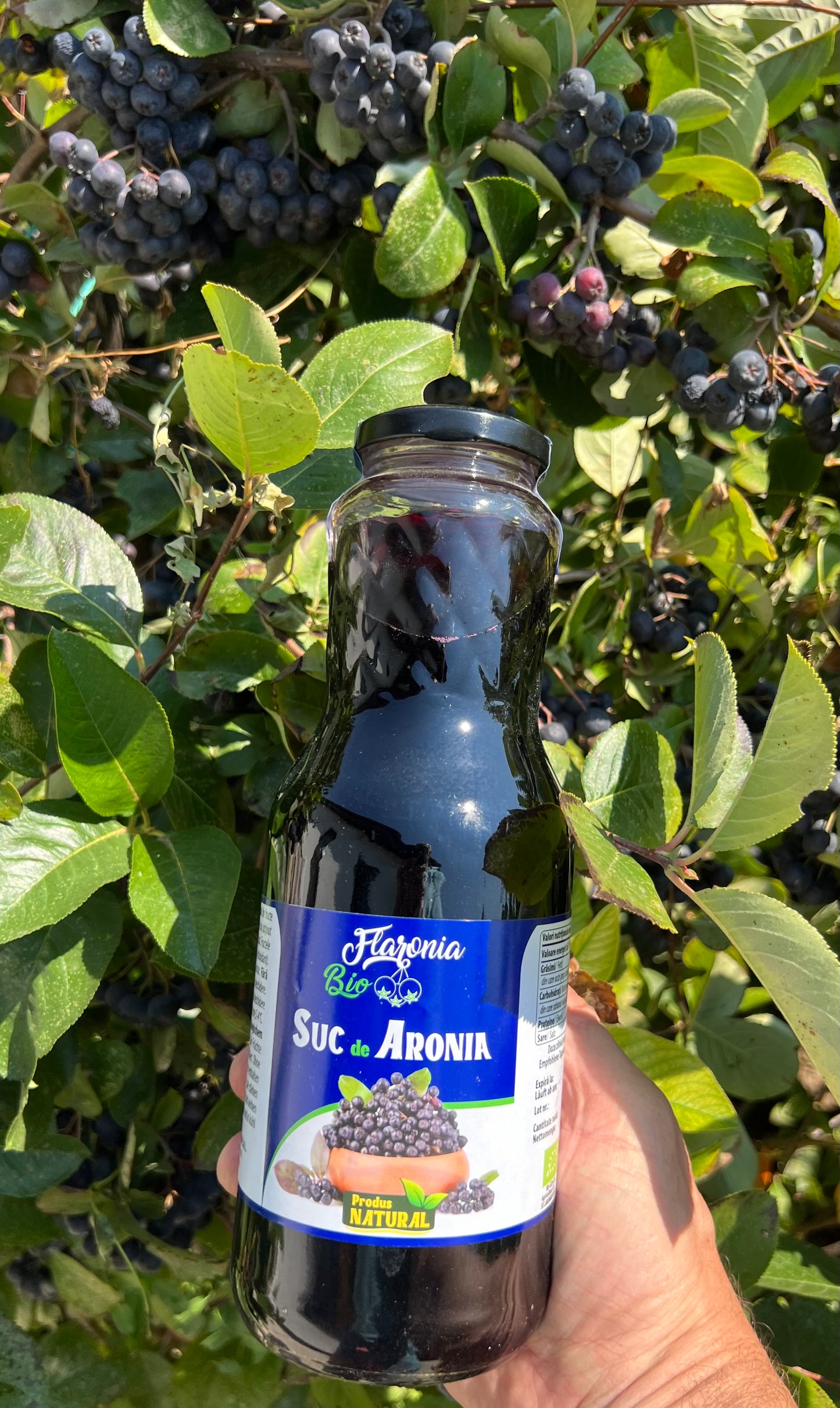 Suc de Aronia 100% Bio