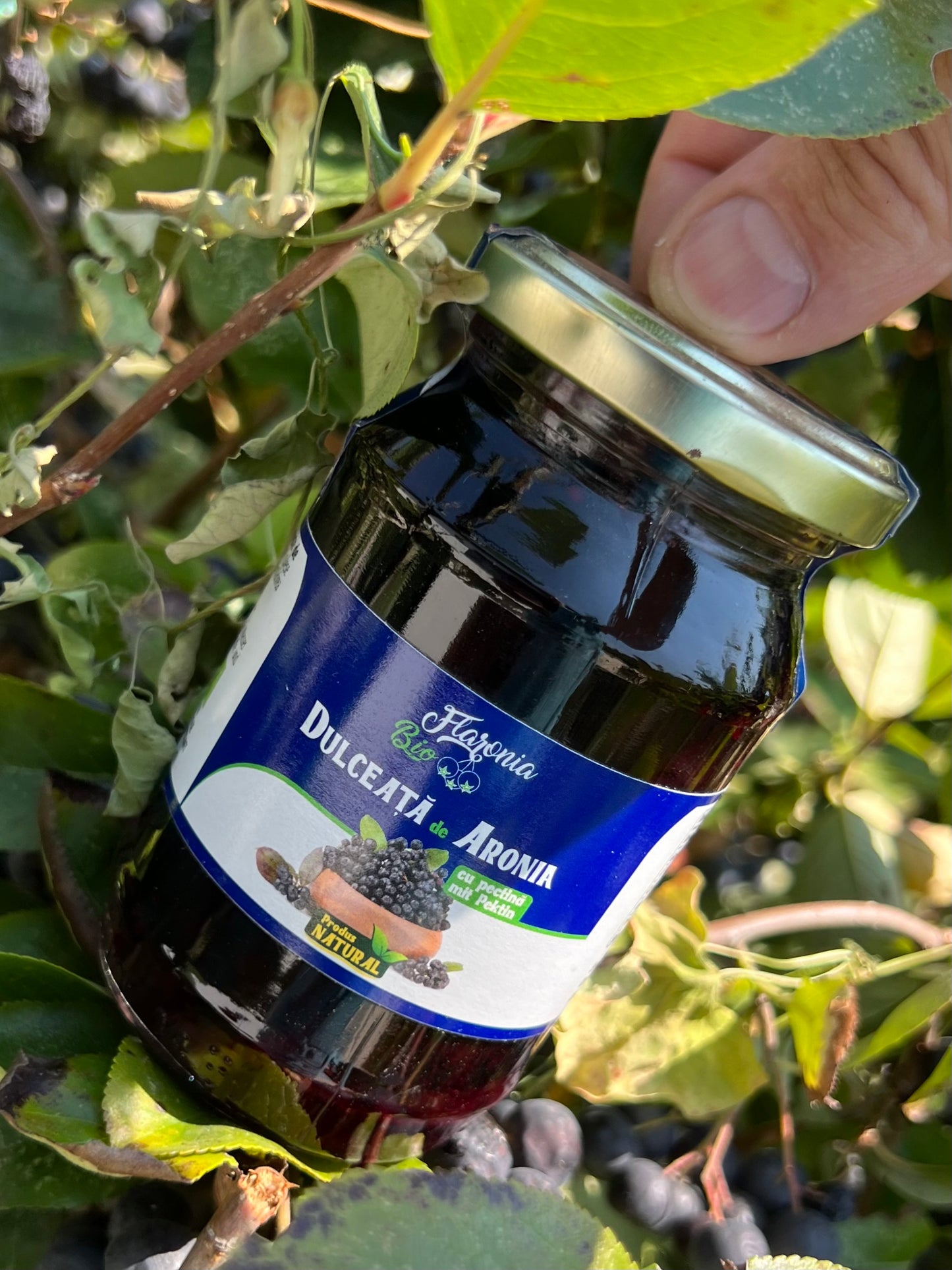 Dulceață de Aronia 250g