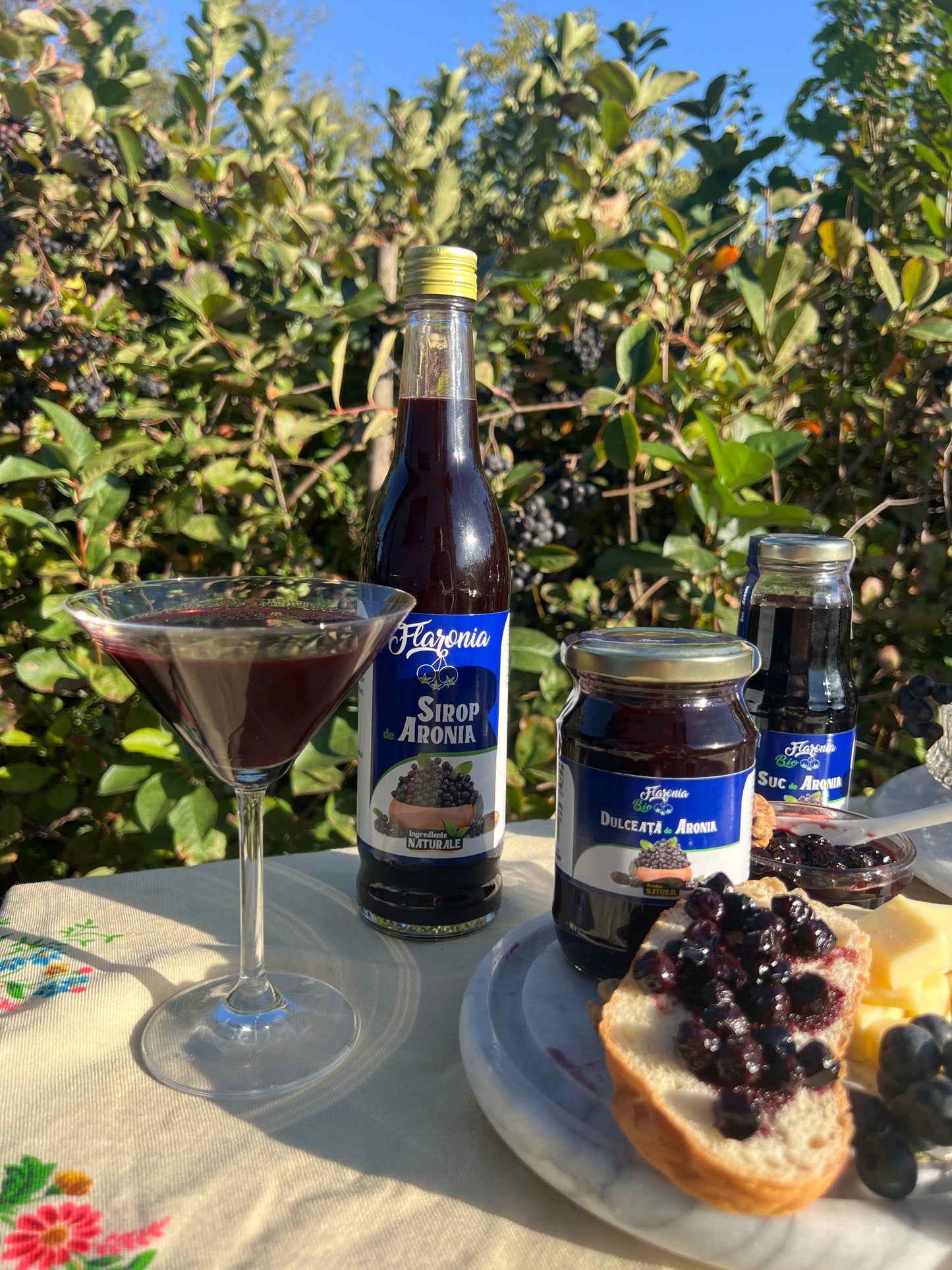 Sirop de Aronia 440ml