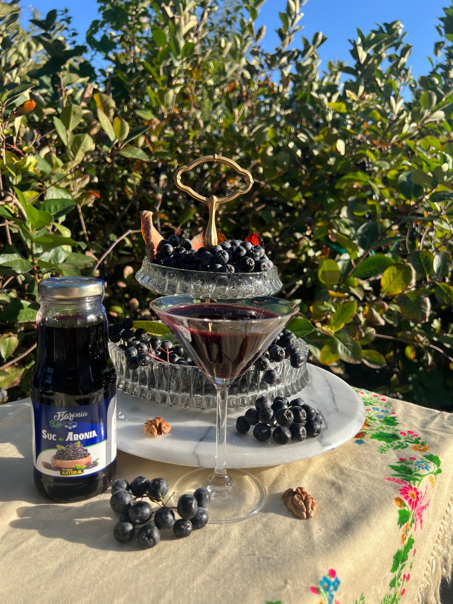 Bio Aronia 100kg