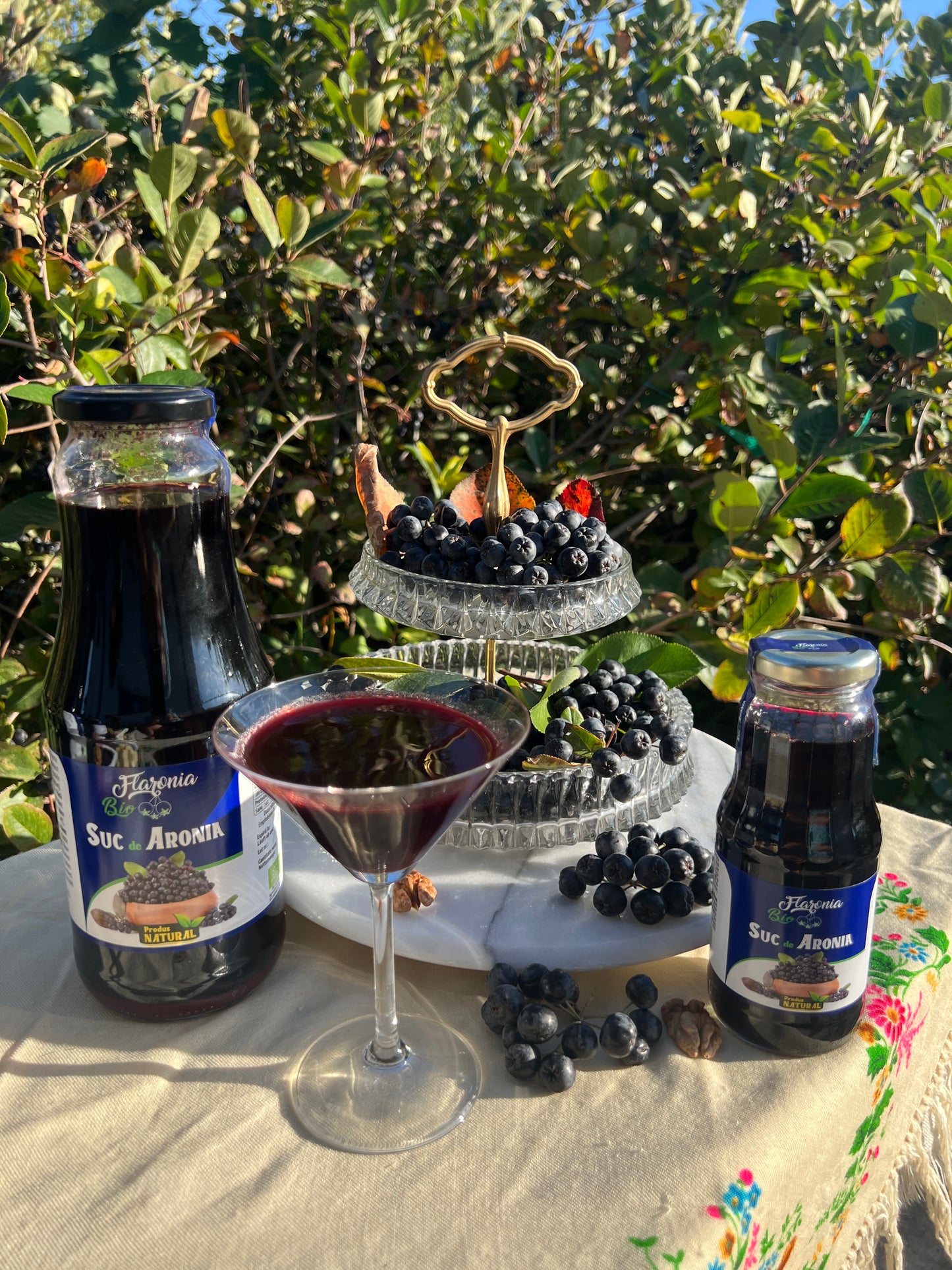 Suc de Aronia 100% Bio