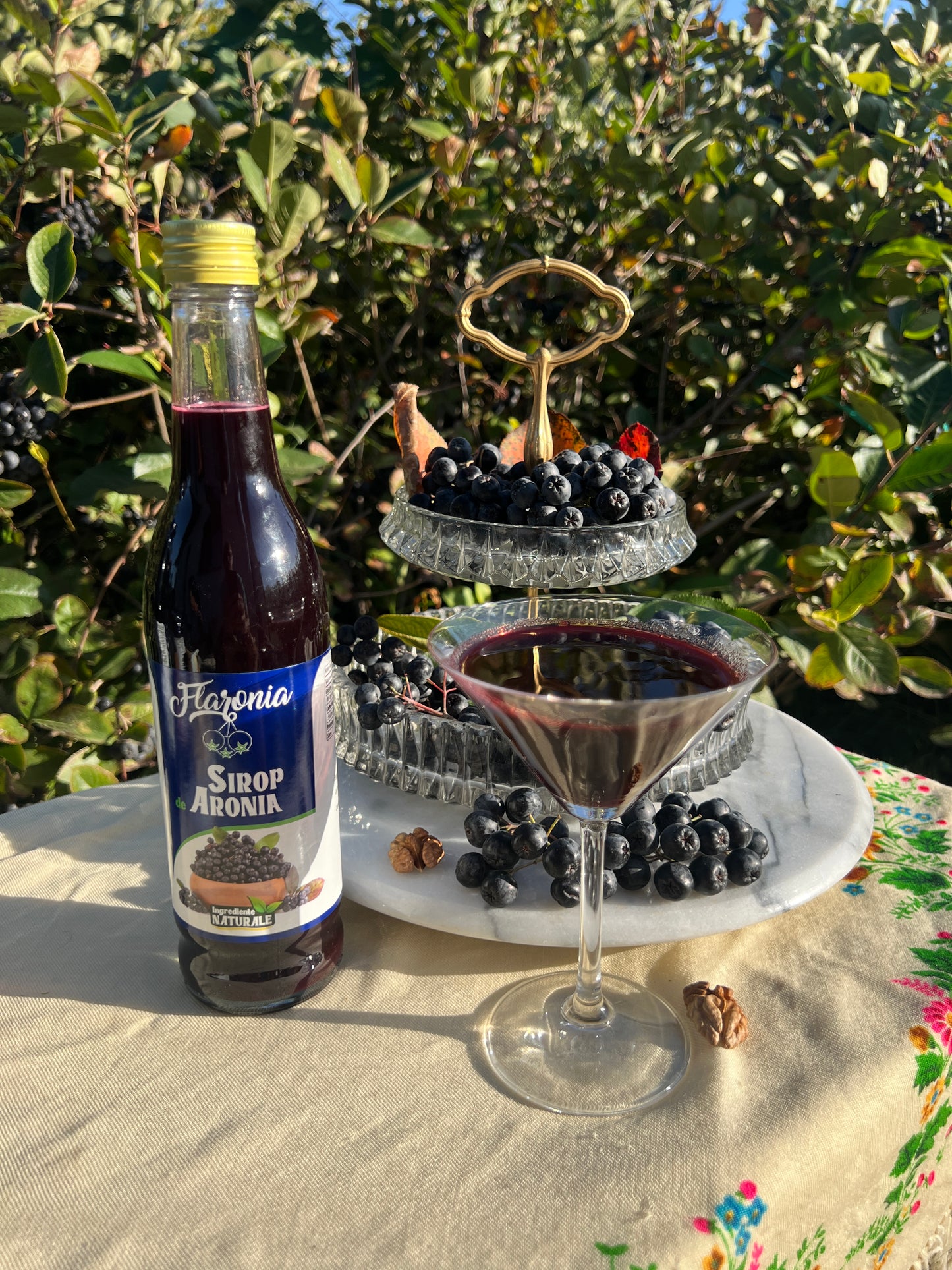 Sirop de Aronia 440ml