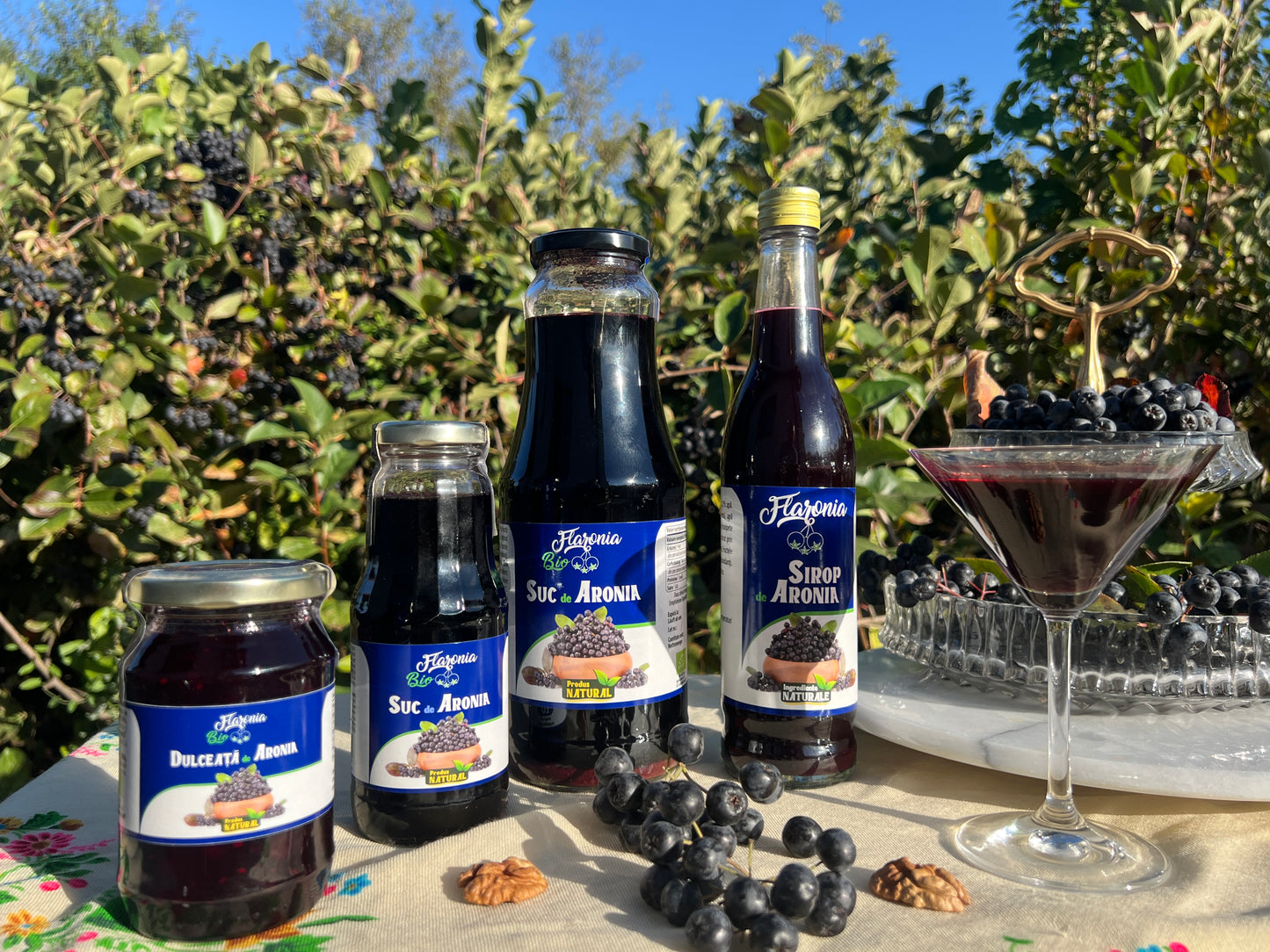 Sirop de Aronia 440ml
