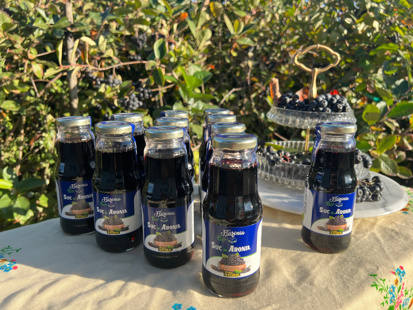 Suc de Aronia 100% Bio