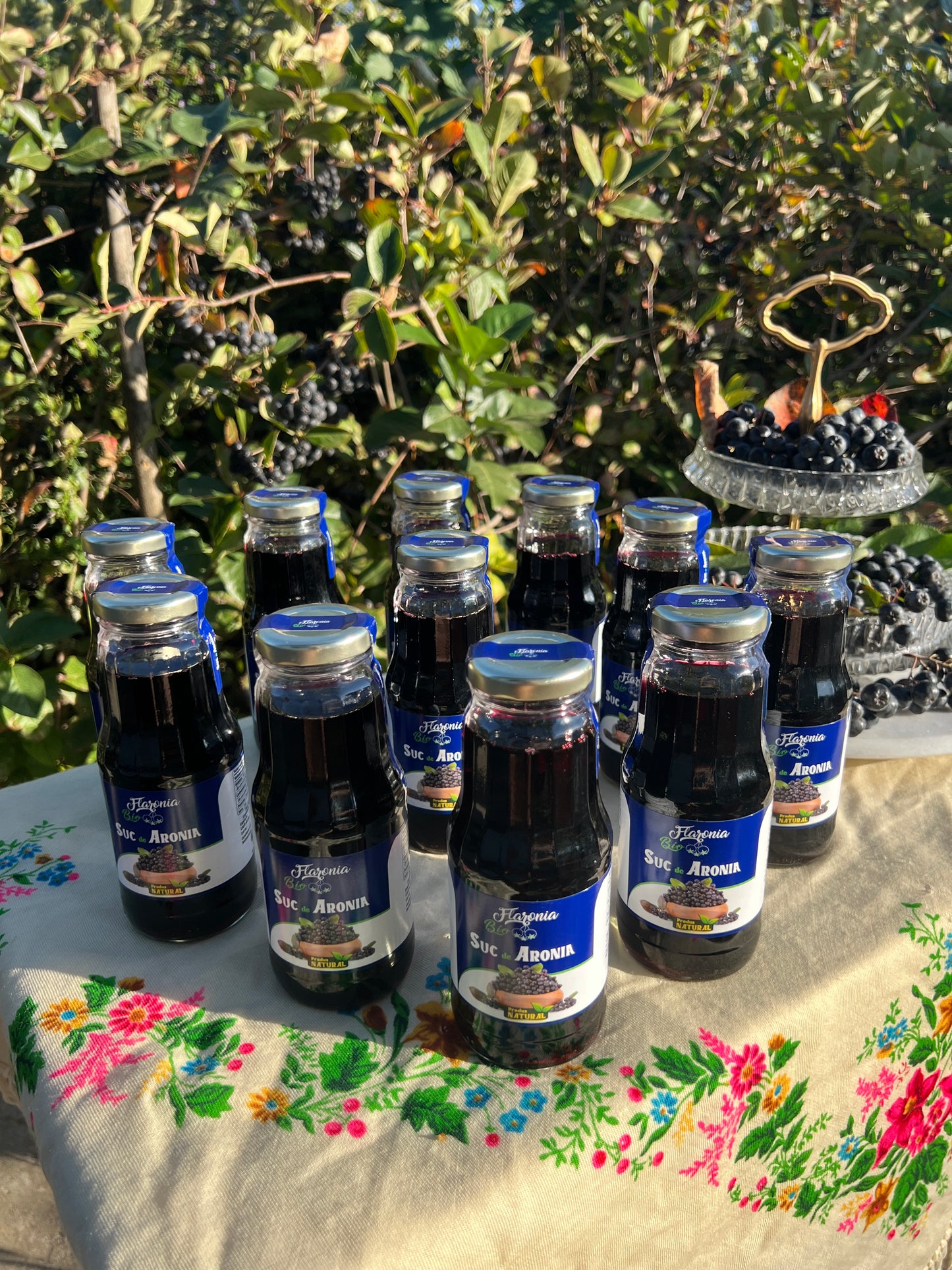 Suc de Aronia 100% Bio