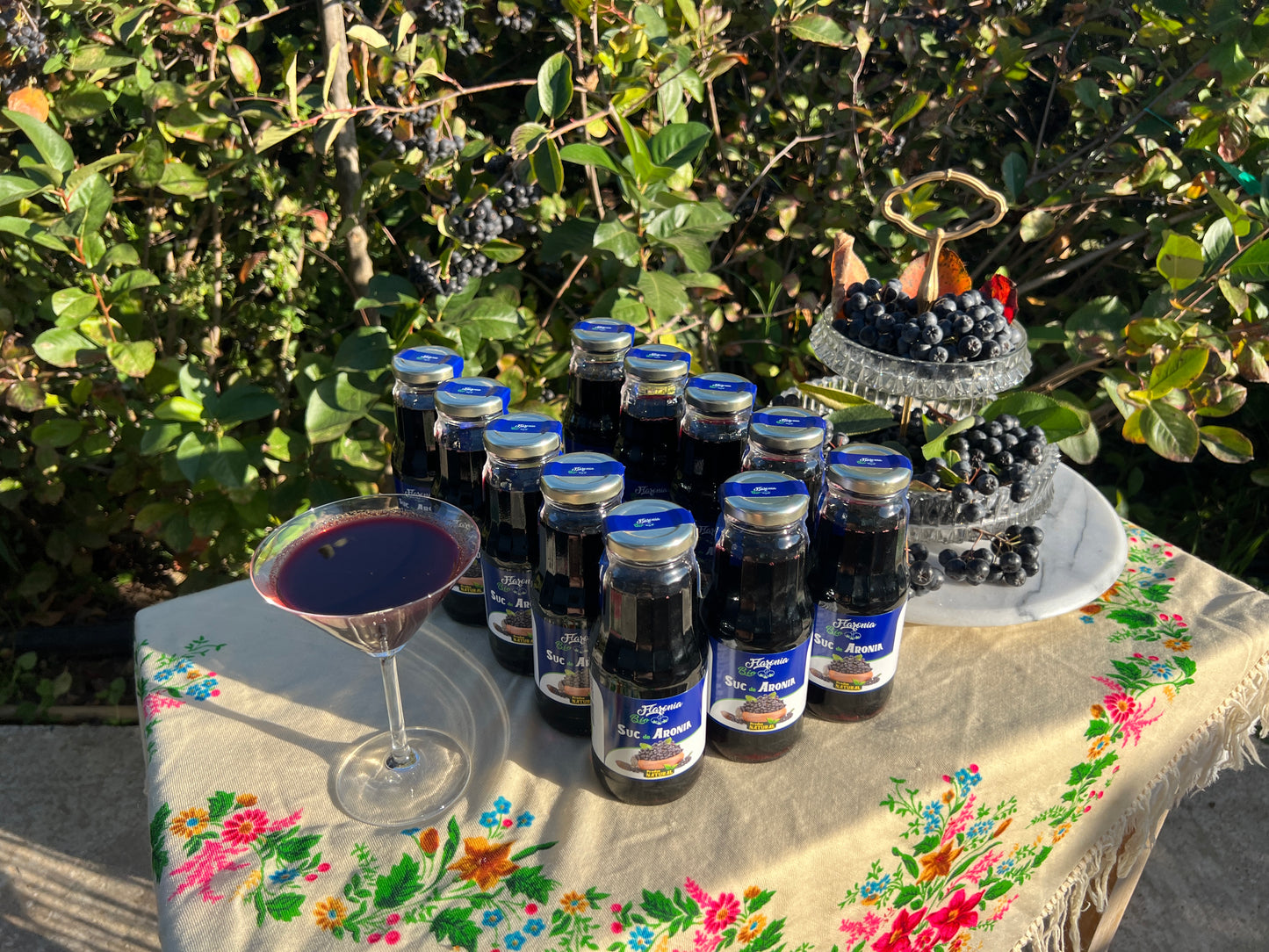 Suc de Aronia 100% Bio