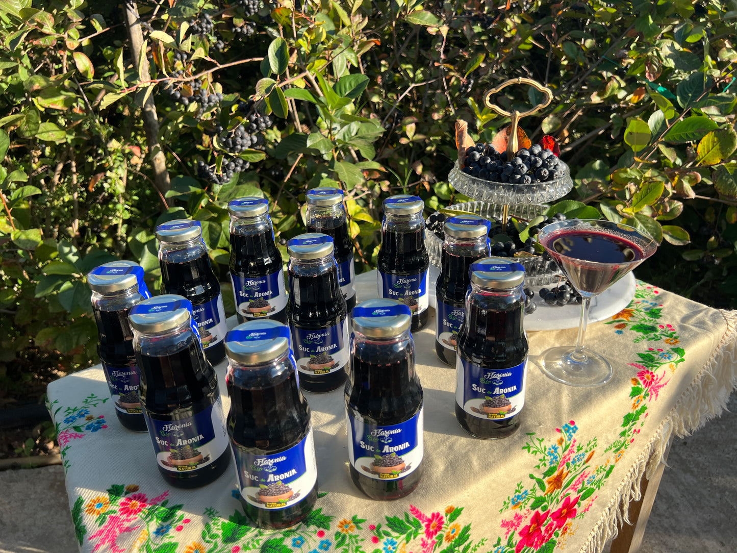 Suc de Aronia 100% Bio