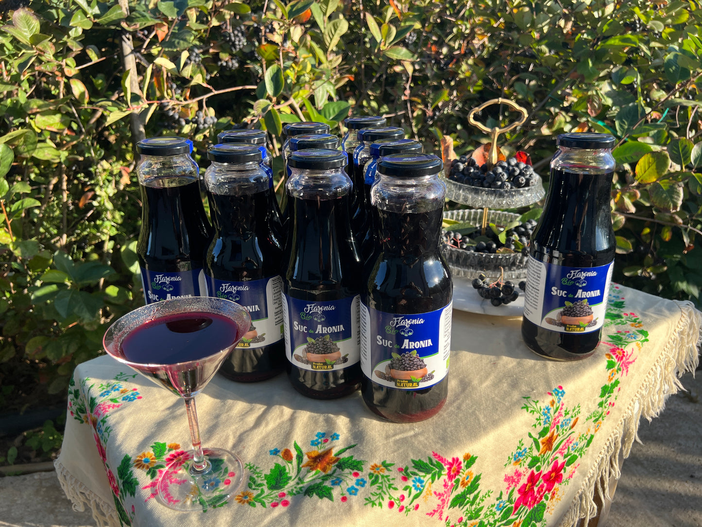 Suc de Aronia 100% Bio