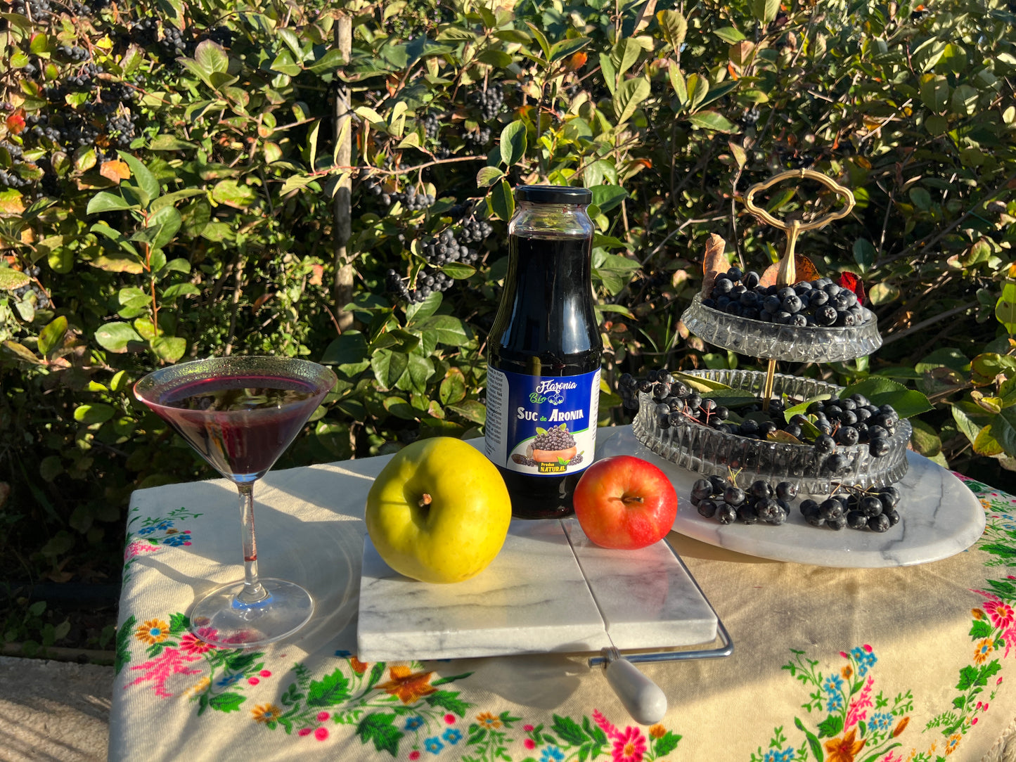 Suc de Aronia 100% Bio
